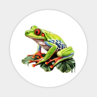 Red Eyed Tree Frog Magnet